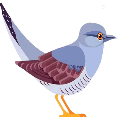 Cuckoos team icon